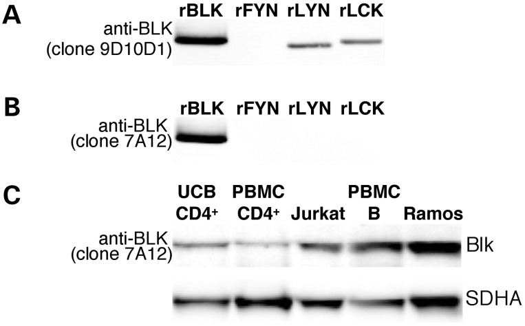 Figure 3.