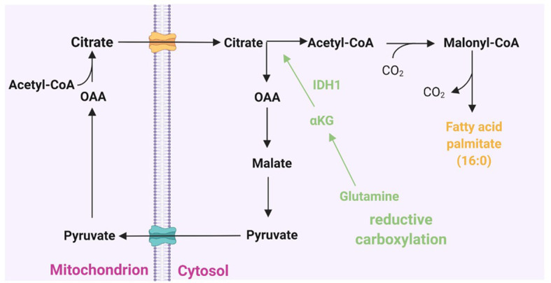 Figure 2