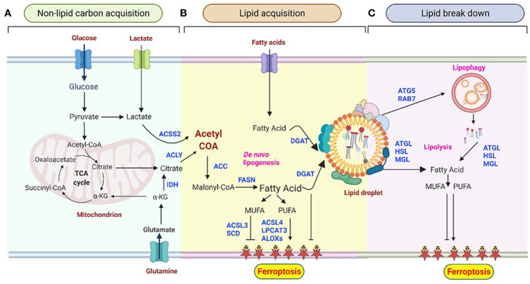 Figure 1