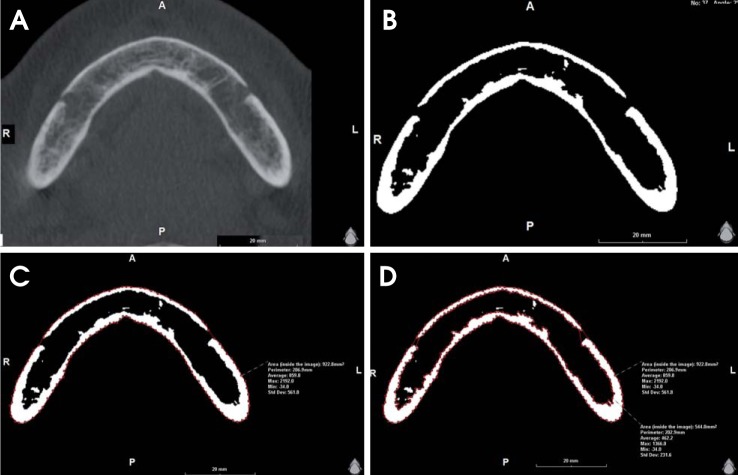 Fig. 2