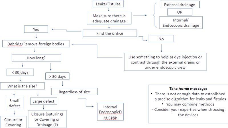 Algorithm 2: