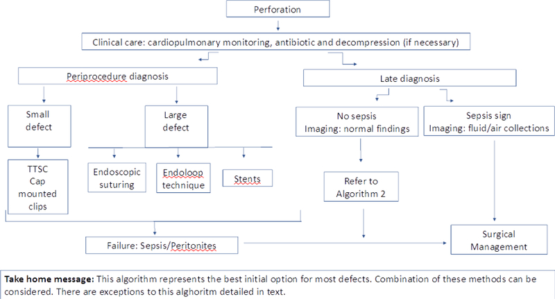 Algorithm 1.