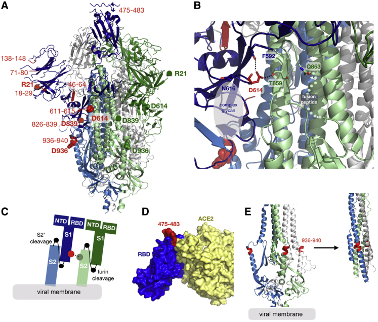 Figure 4