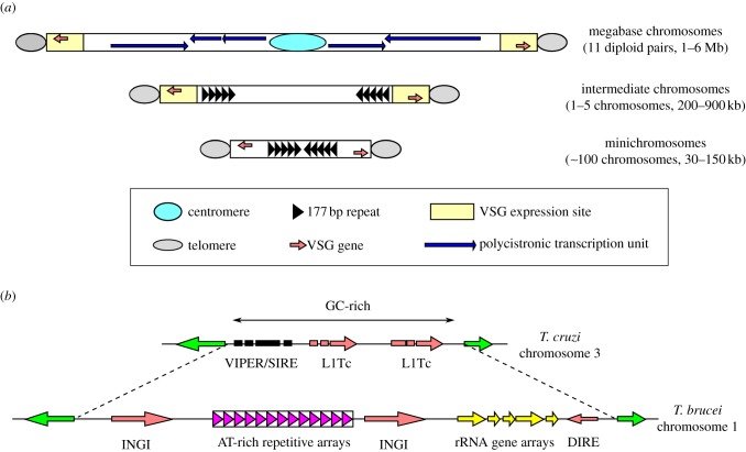 Figure 4.