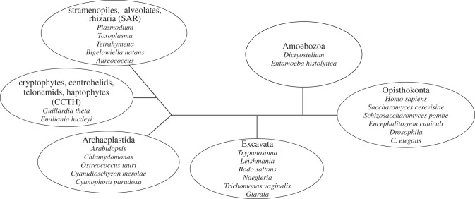 Figure 2.