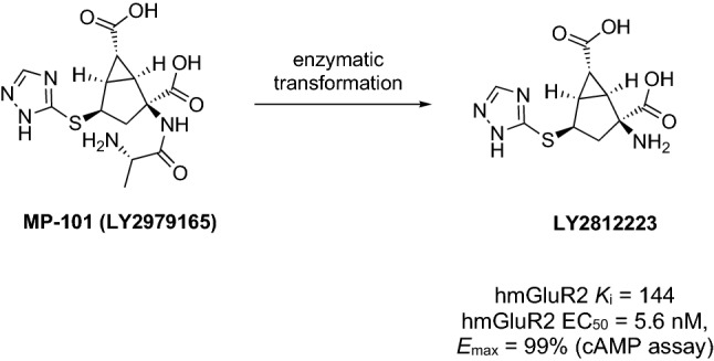 Fig. 6