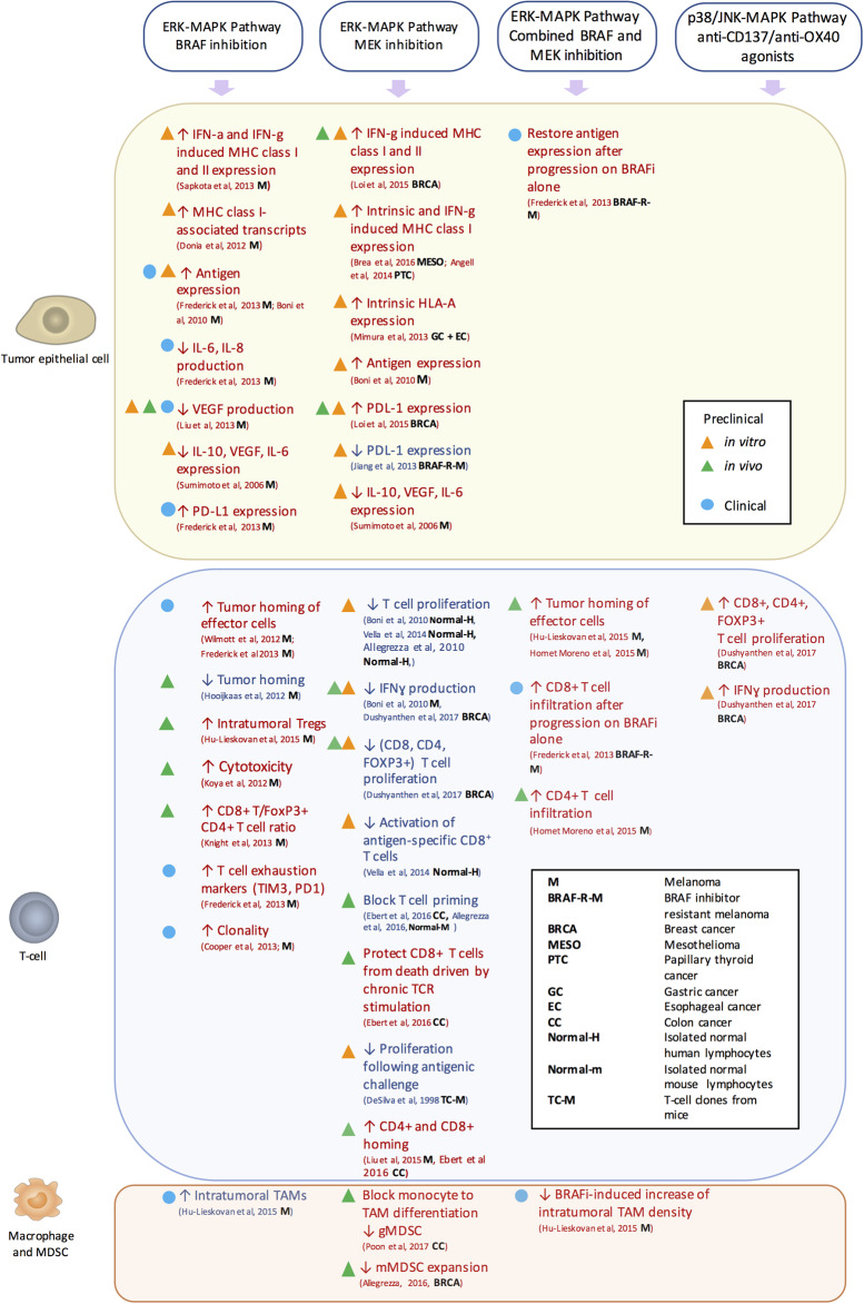 Figure 3.