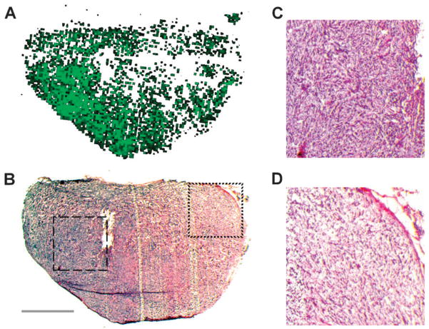 Fig. 5