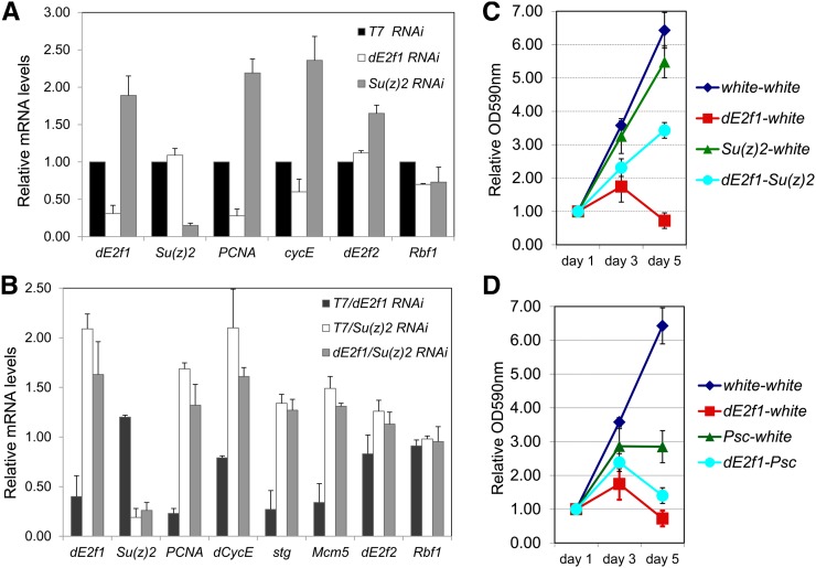 Figure 4 