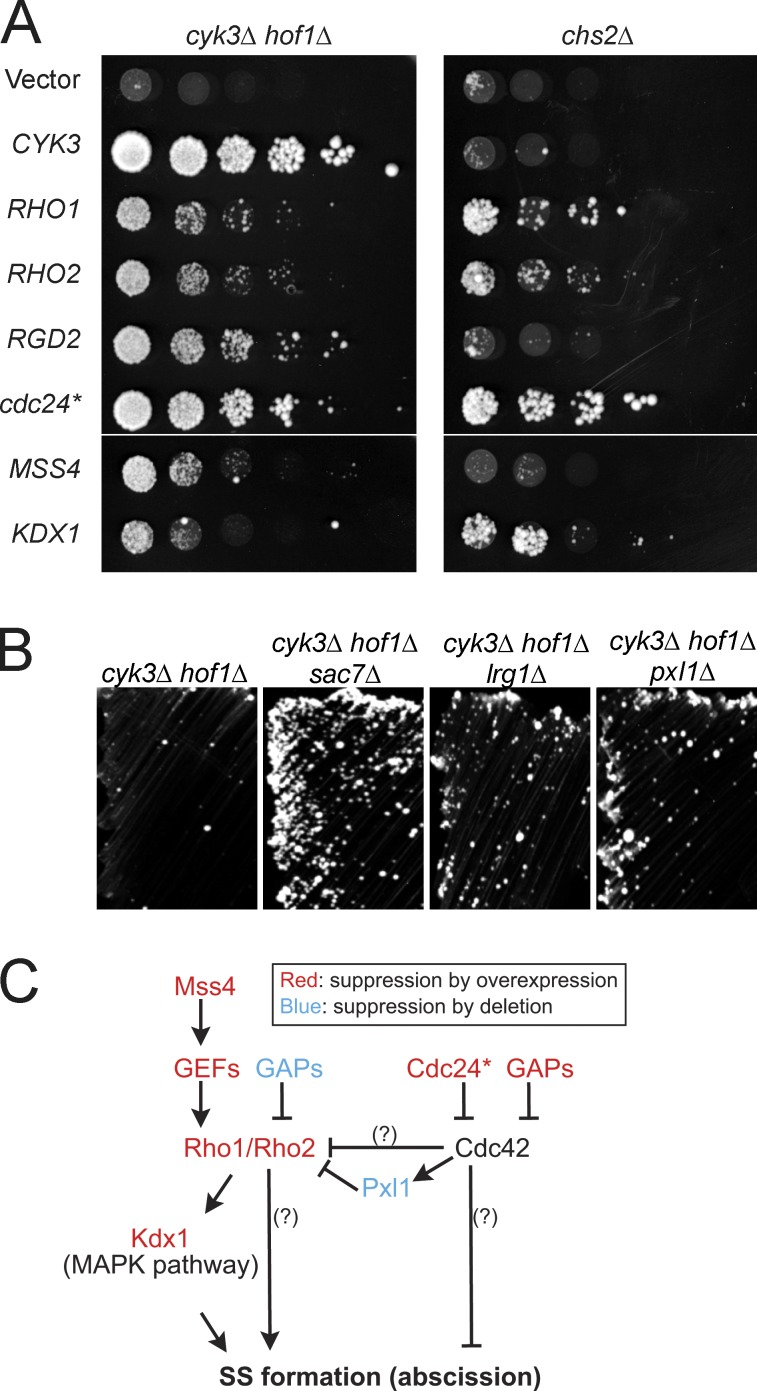 Figure 2.