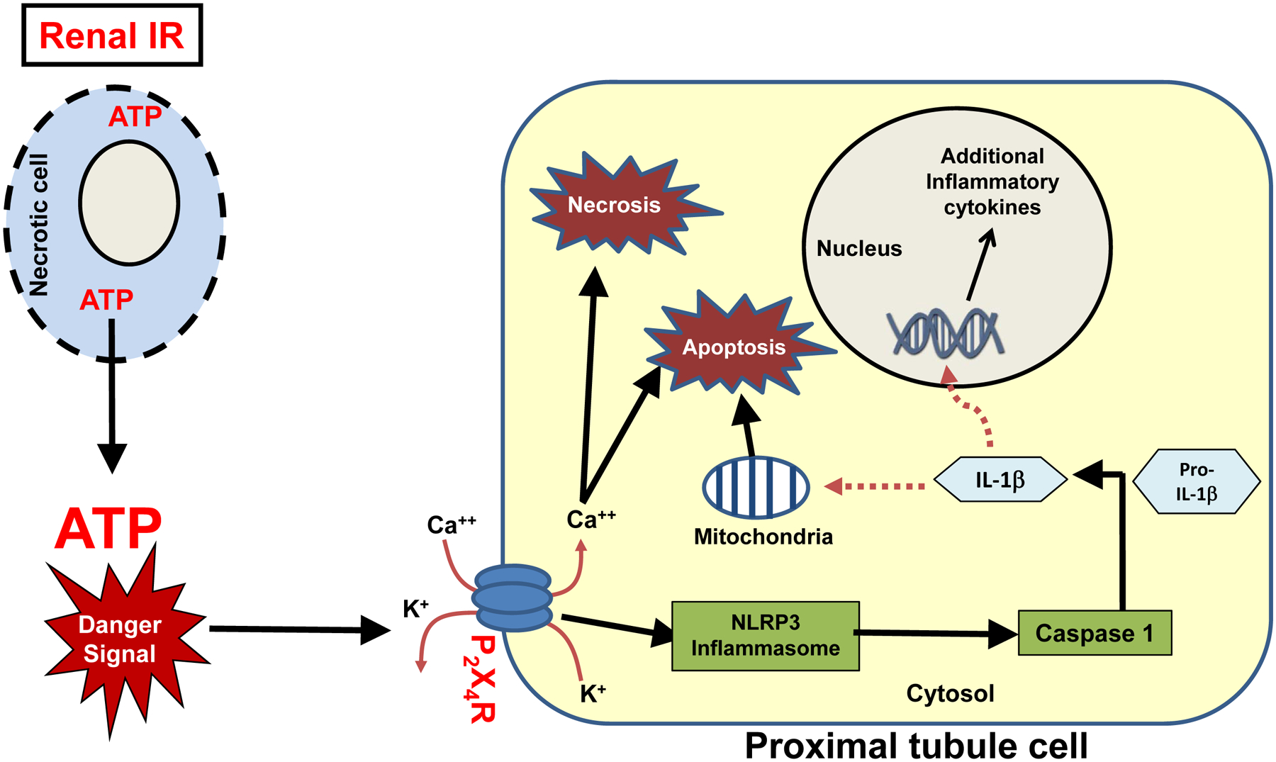 Figure 10.