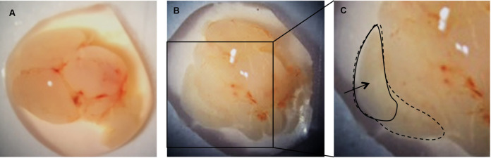 Figure 3.