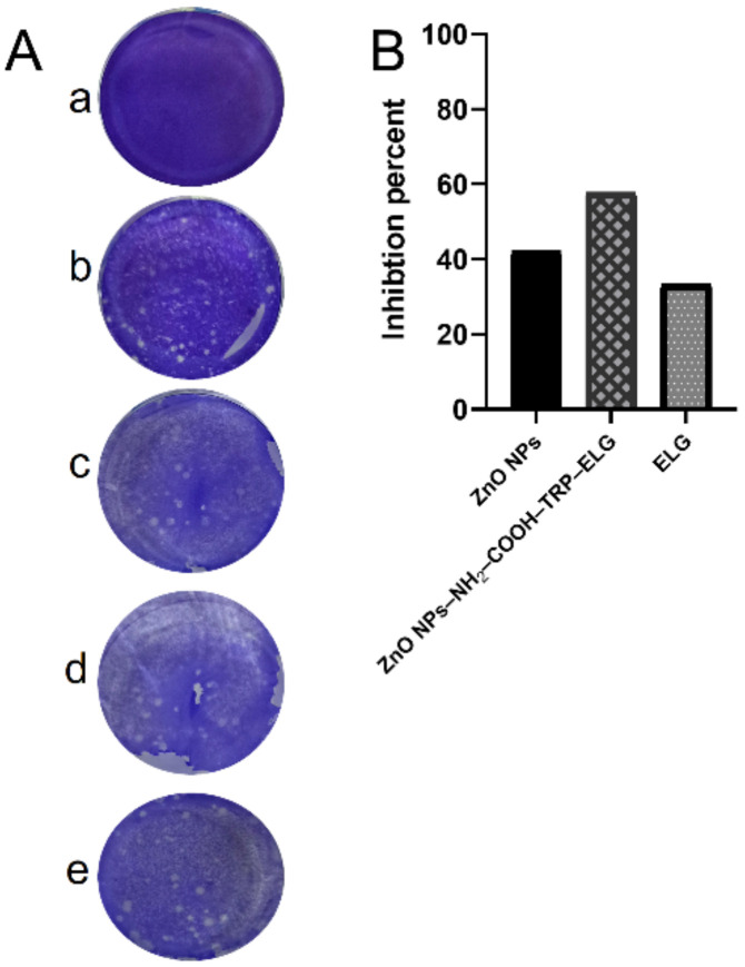 Figure 10