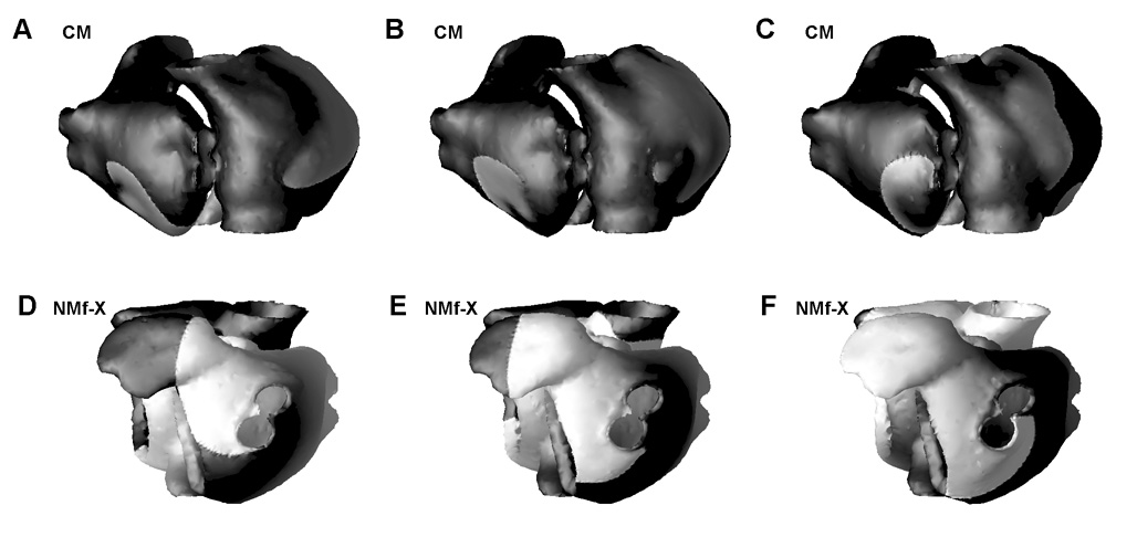 Figure 12