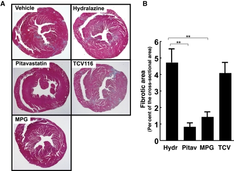 Figure 5