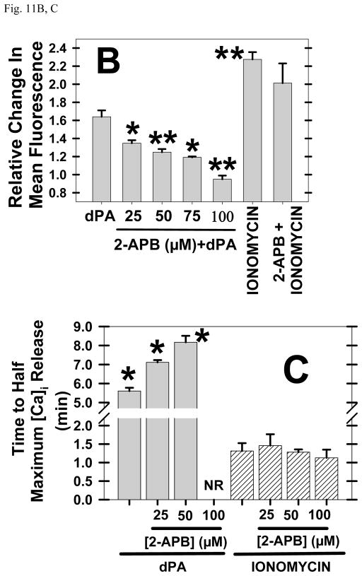 Fig. 11