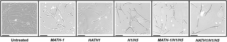 FIG. 3.