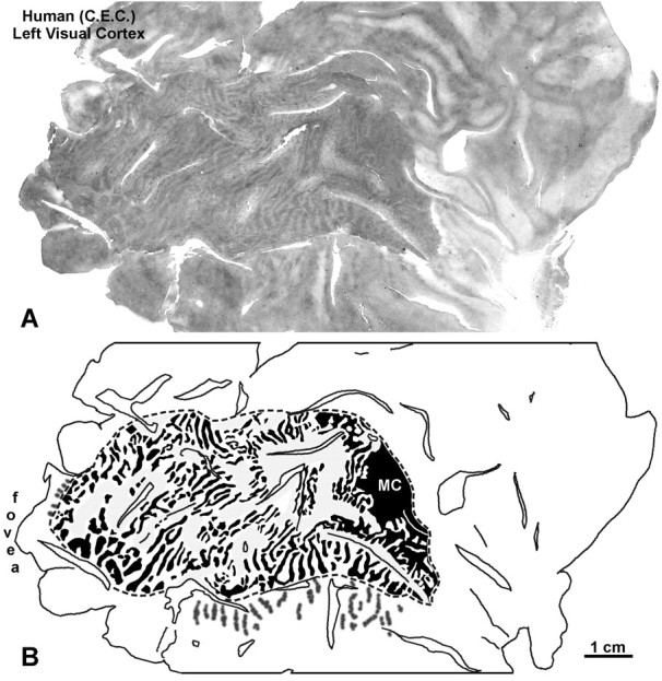 Fig. 16.