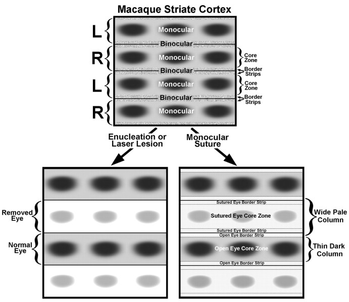 Fig. 17.