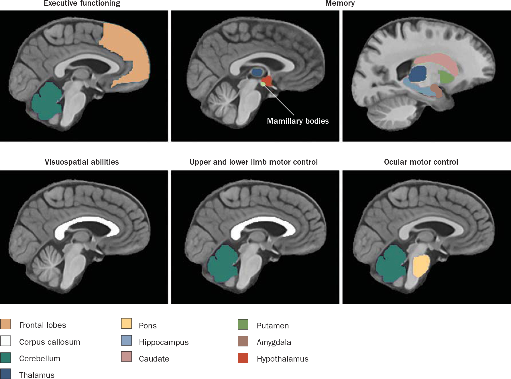 Figure 3 |