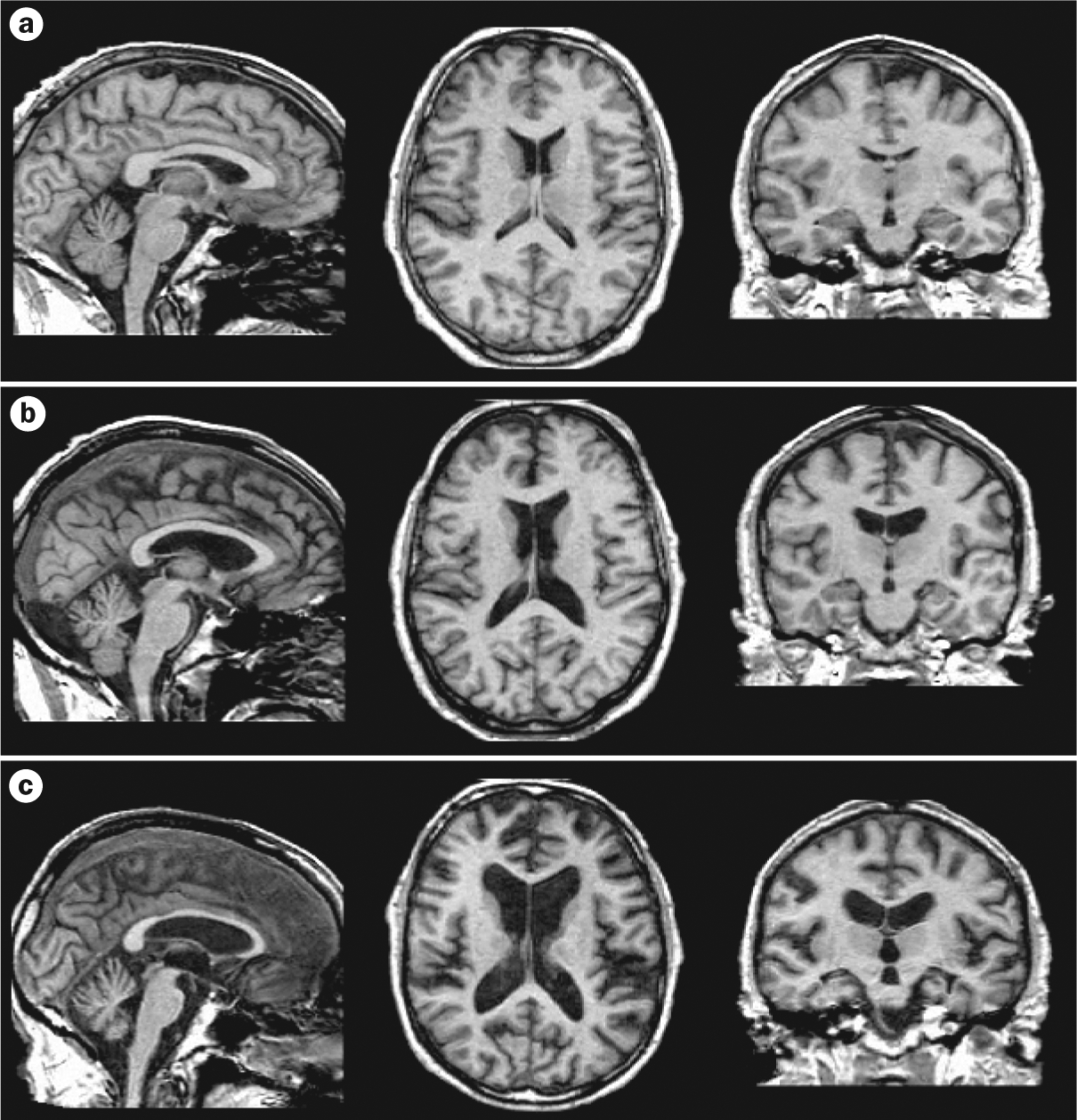 Figure 4 |