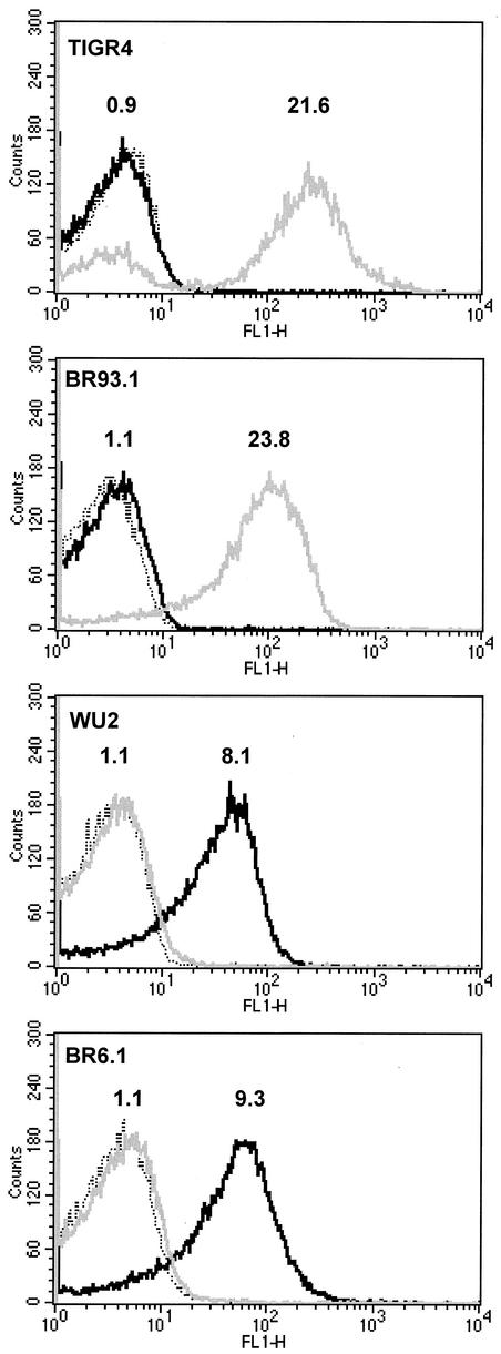 FIG. 2.