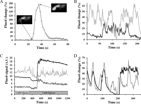 FIGURE 5.