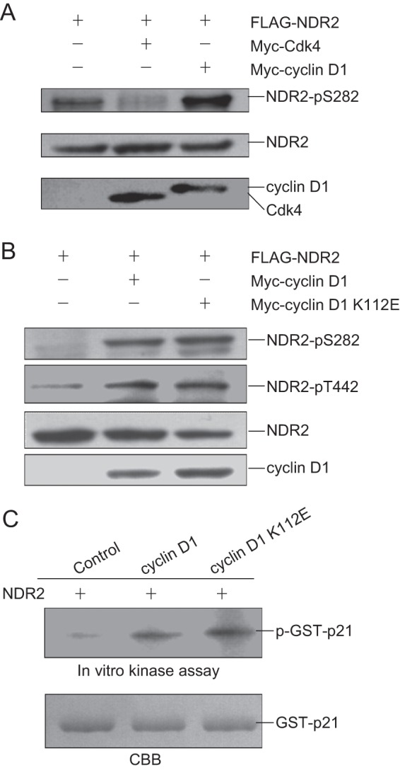 FIGURE 4.