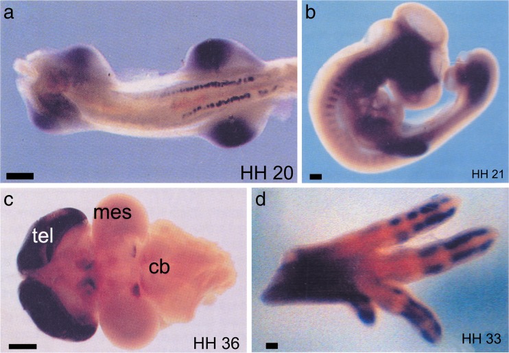 Fig. 5