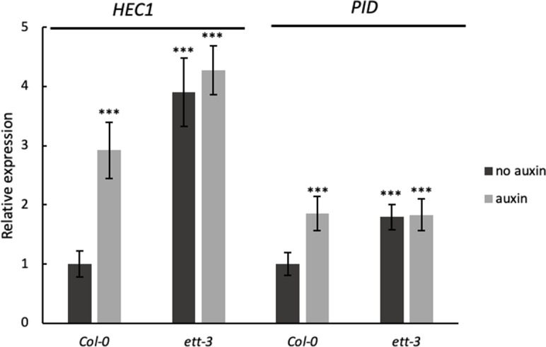 Figure 2—figure supplement 1.