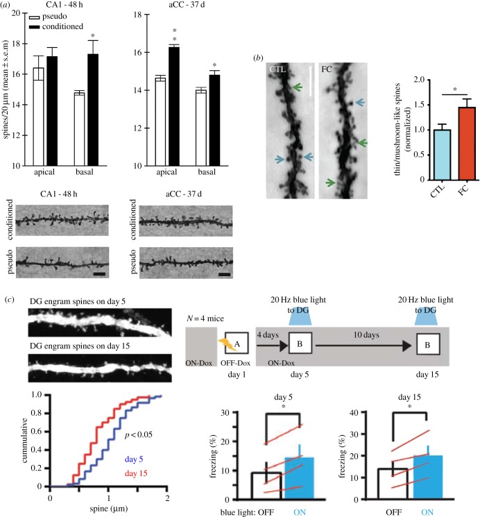 Figure 2.