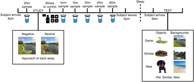 Figure 5.