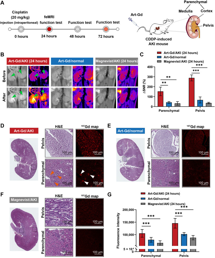 Fig. 4.