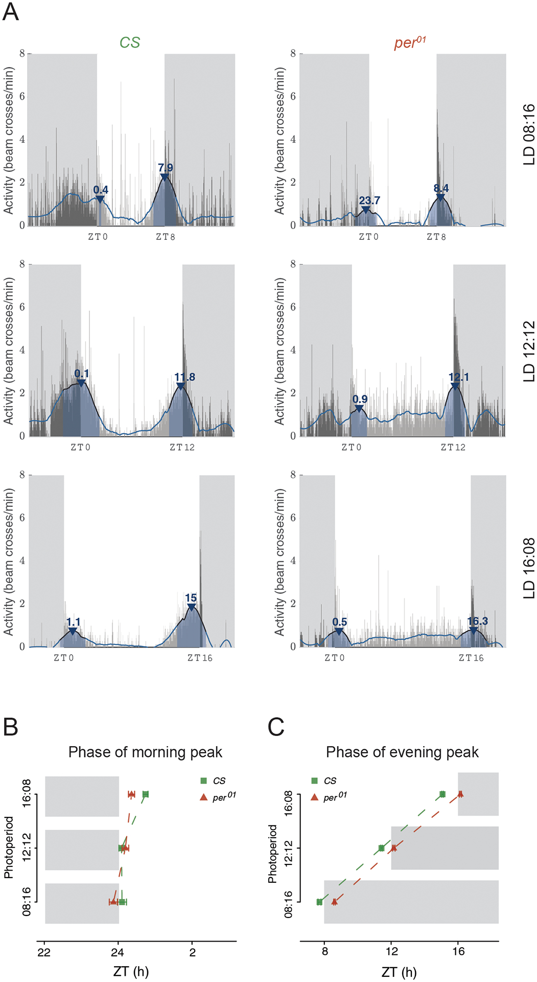 Figure 4: