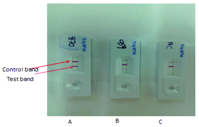 [Table/Fig-3]: