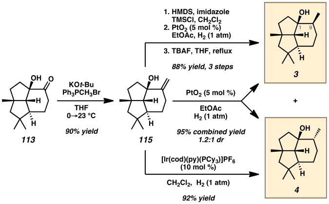 Scheme 19