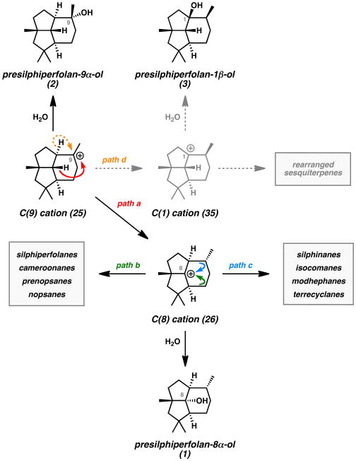 Scheme 6