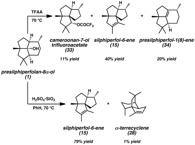 Scheme 5