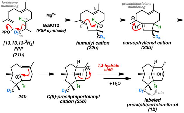 Scheme 3