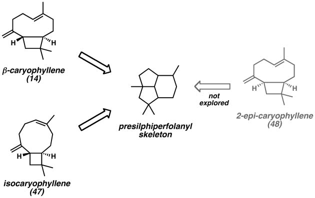 Scheme 7