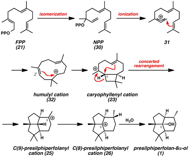 Scheme 4