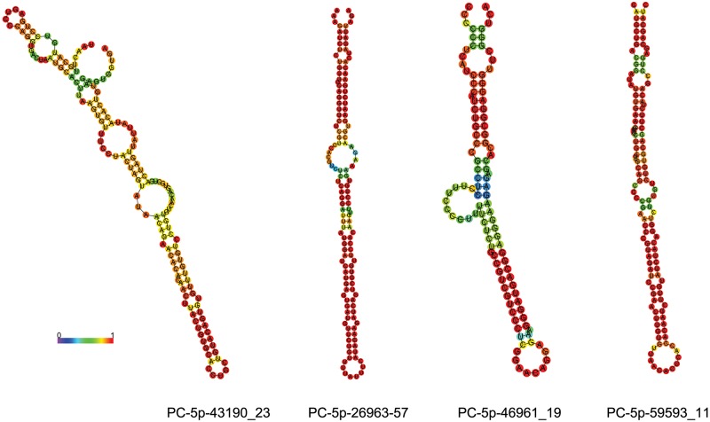 Fig 6