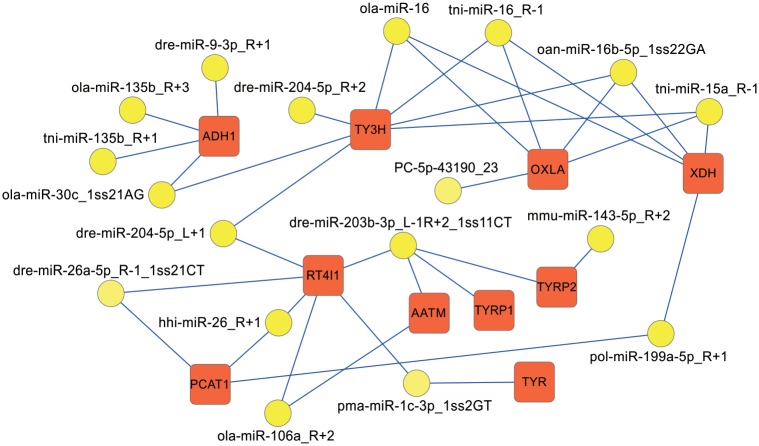 Fig 10