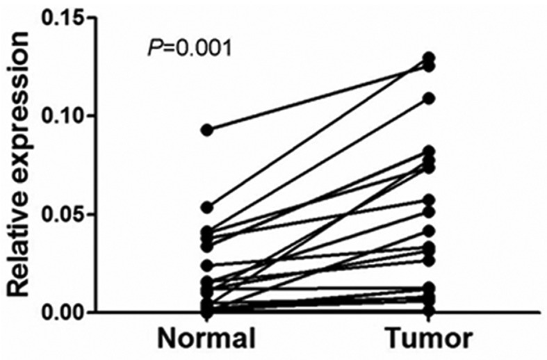 Figure 2.