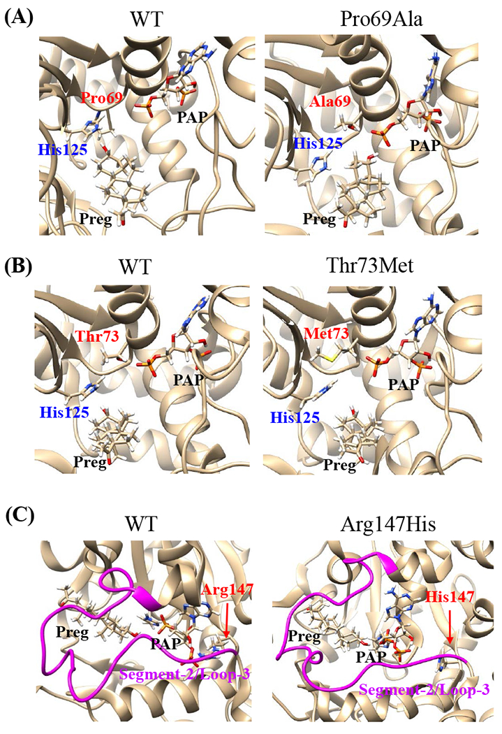 Fig. 8.