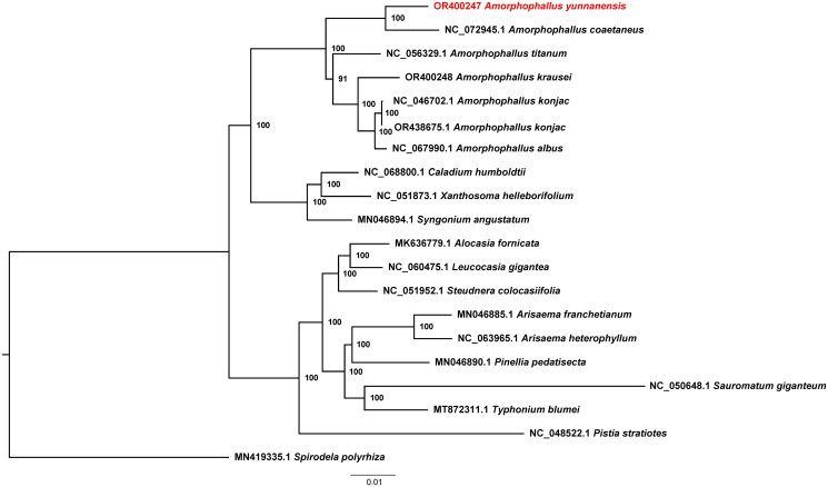 Figure 3.