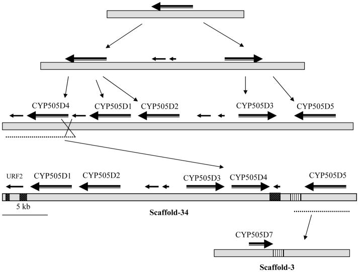 Fig. 7