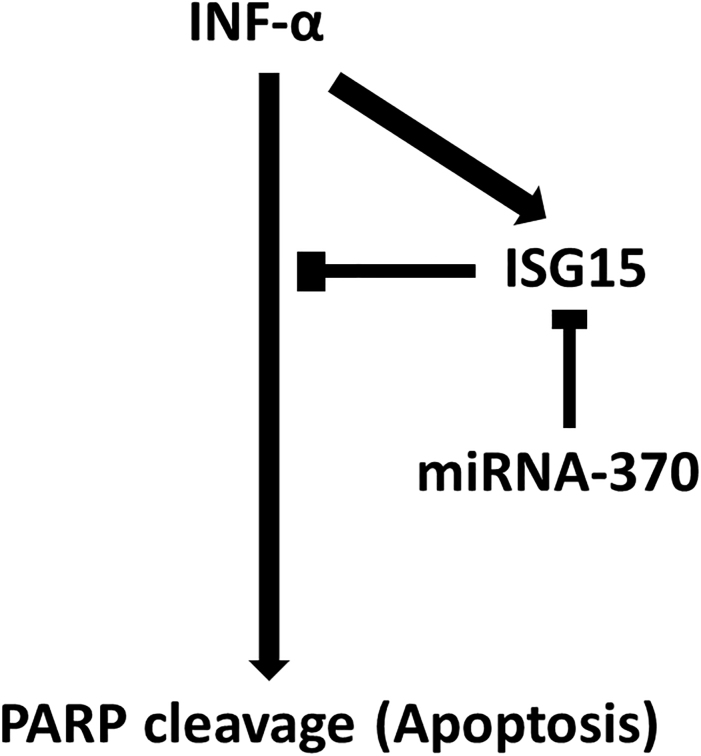 Figure 7.