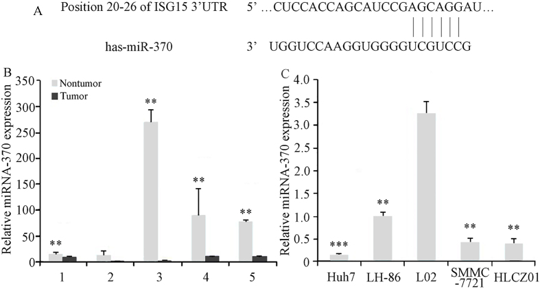 Figure 3.