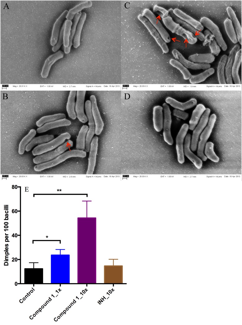 FIG 2